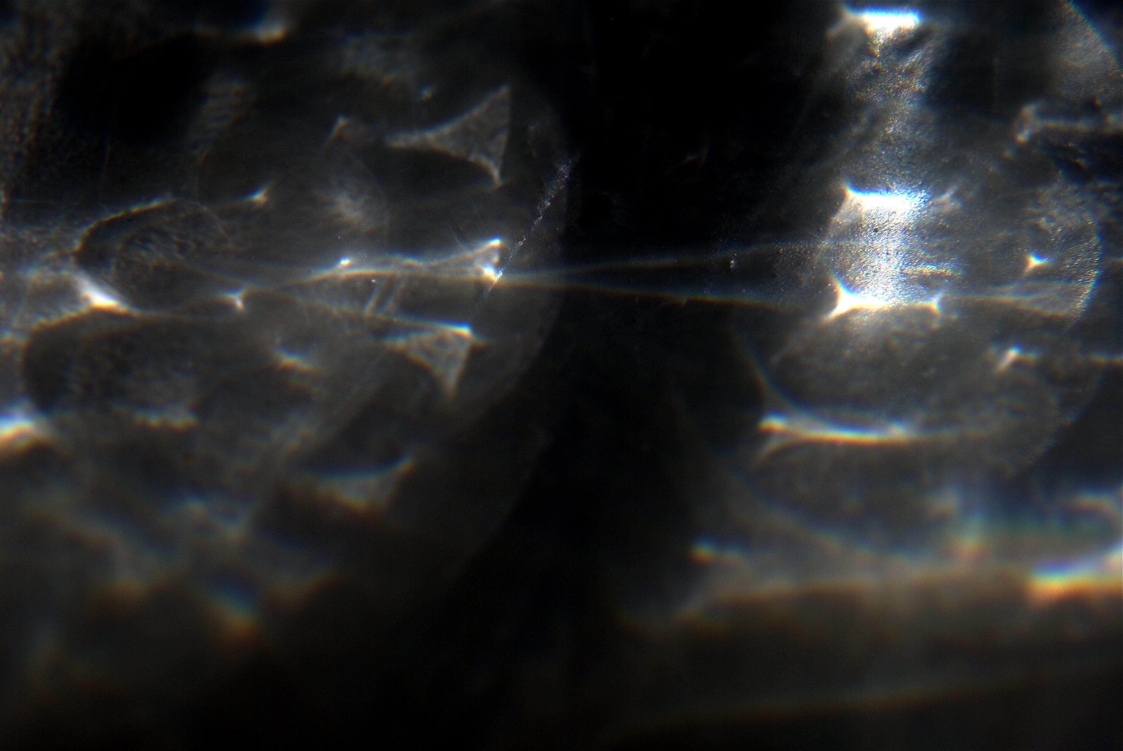 DSC_0485.jpg