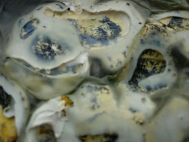 DSCN0150.jpg