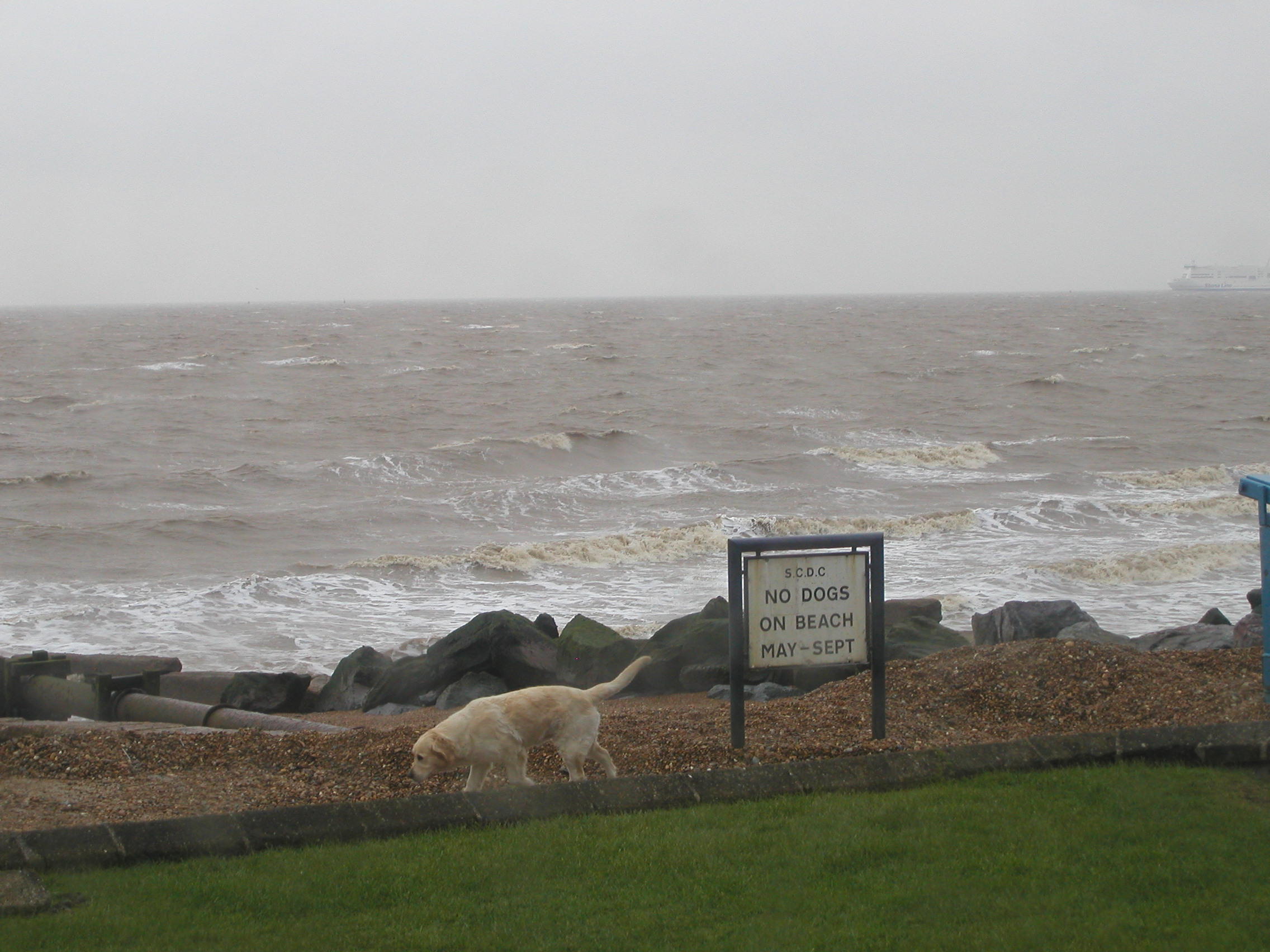 march in felixstowe
