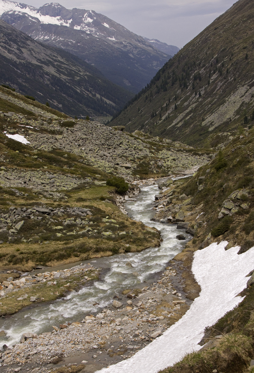 alpine river.jpg