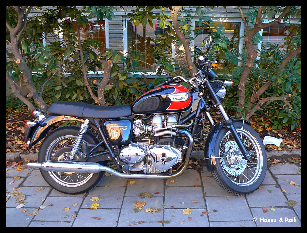 P1290748 Triumph Bonneville.jpg