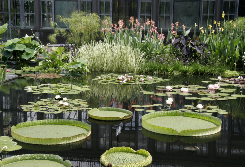 Longwood Gardens