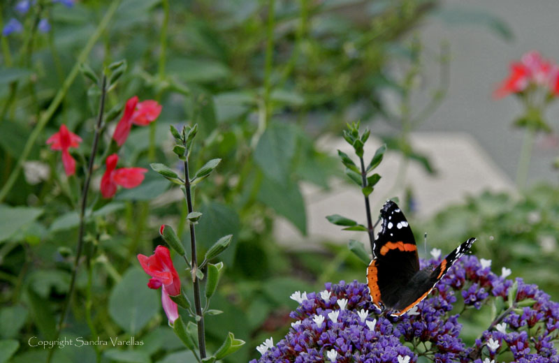 Longwood Gardens
