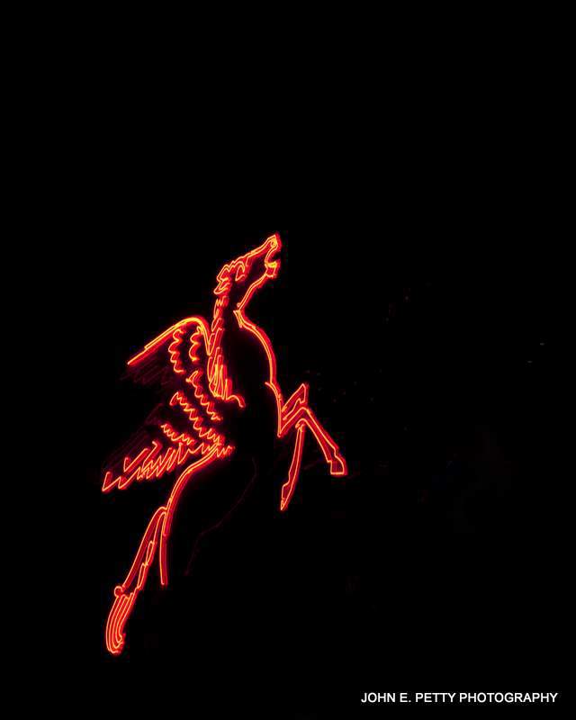Pegasus 2  IMG_8881-2.jpg