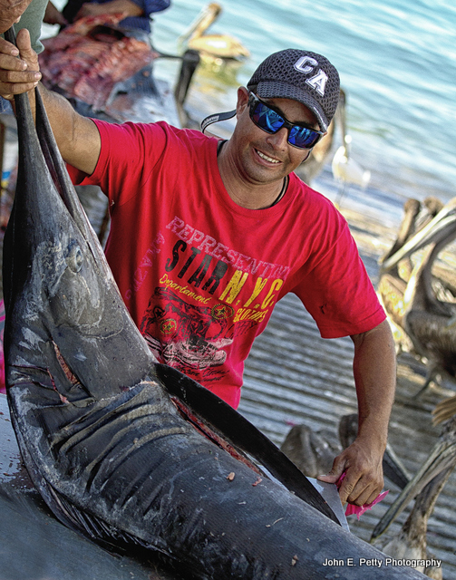 Todays catch _MG_3591.jpg