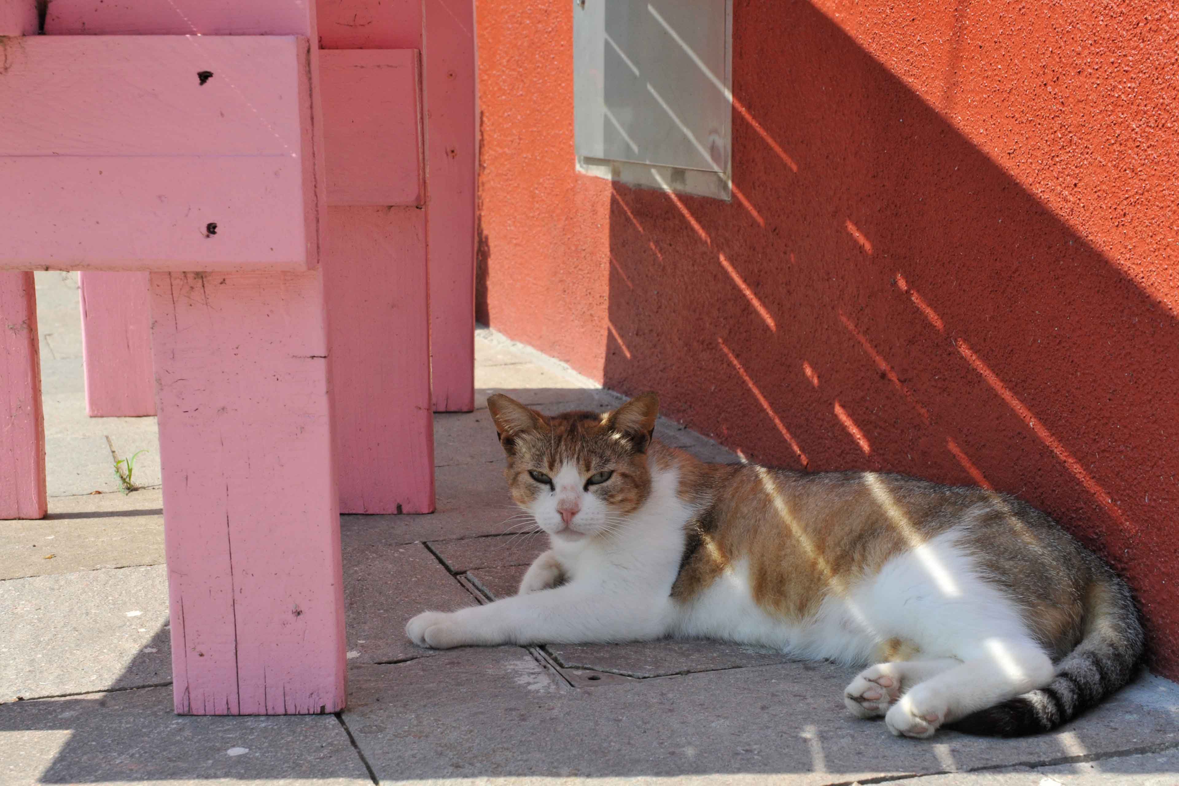 Burano