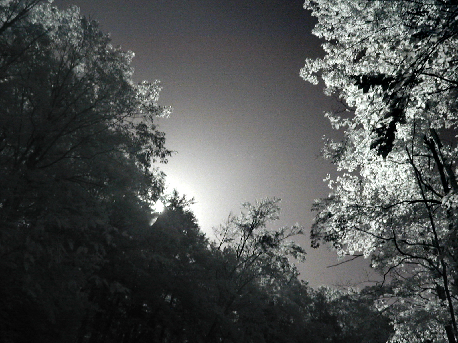 ASTABULA_09_24_08_004.JPG