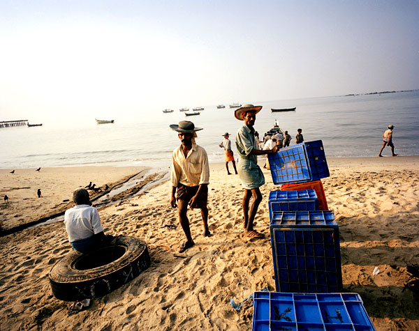 Cool Hats on a Hot Beach