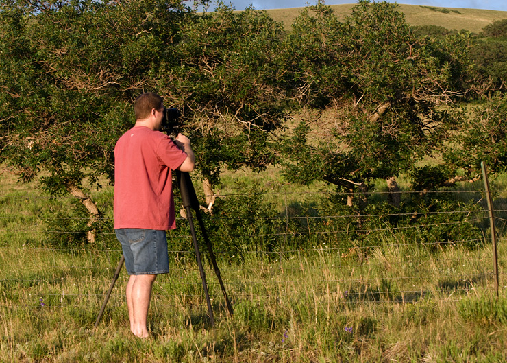 2008_07_D300_6149.jpg