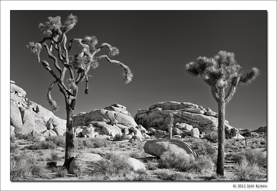 Untitled 3, Joshua Tree National Park, California, 2012