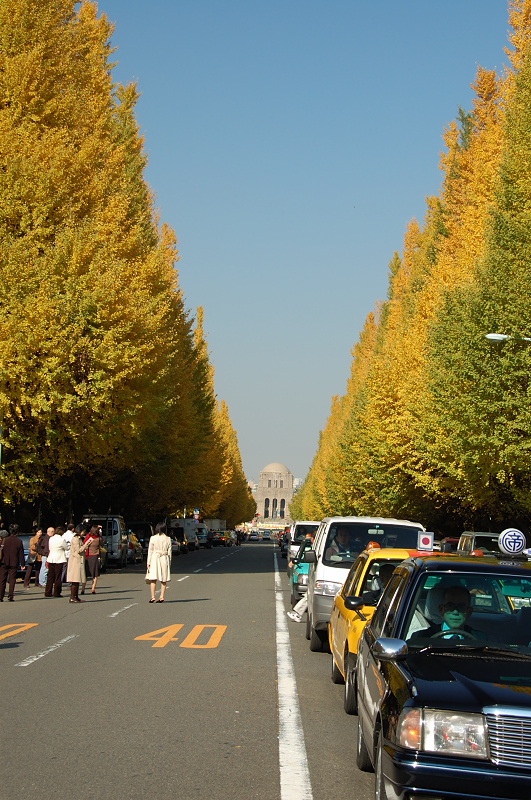 DSC_0759.JPG