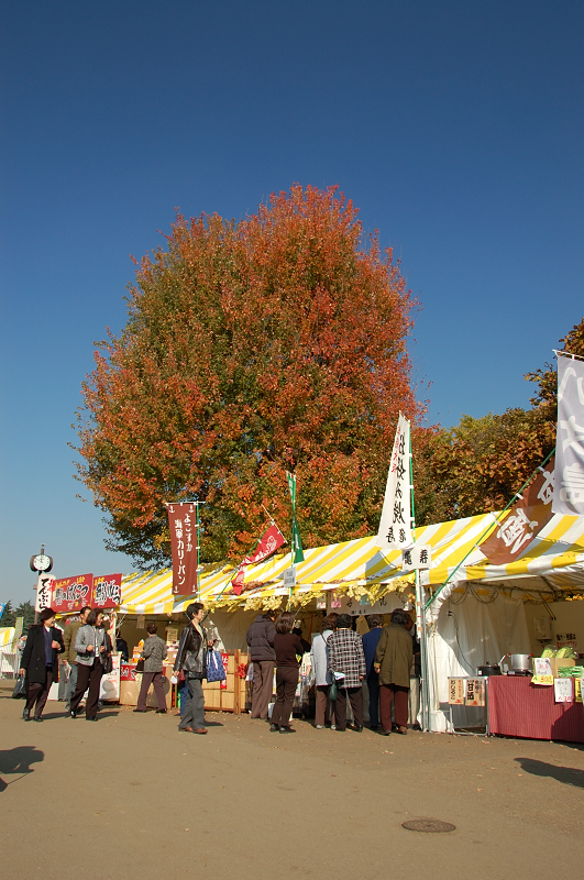 DSC_0799.JPG