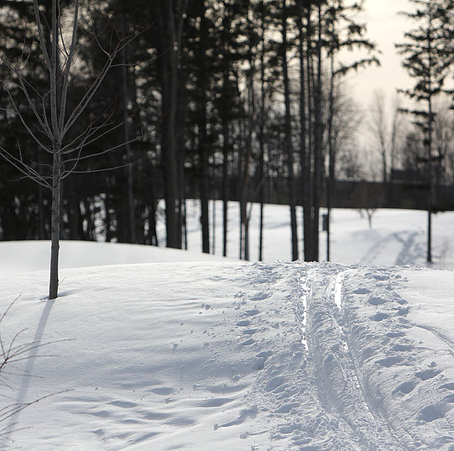 Tracks