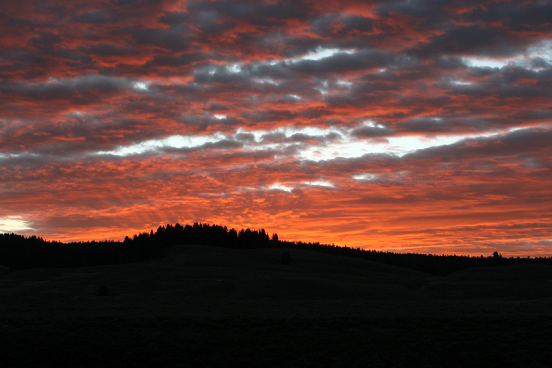 Sunrise