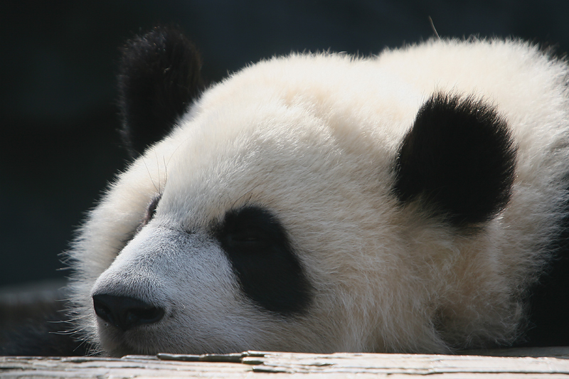 Naptime