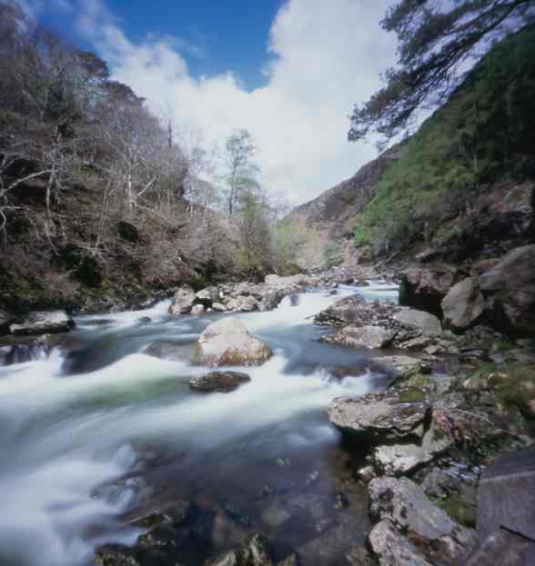 25mm pinhole-6x6 neg_pz17