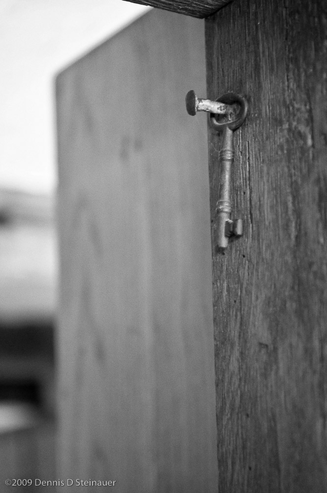 1/29/09 - High Key (Thursday Challenge)<br><font size=4>DS20090130_0062ap.jpg</font>