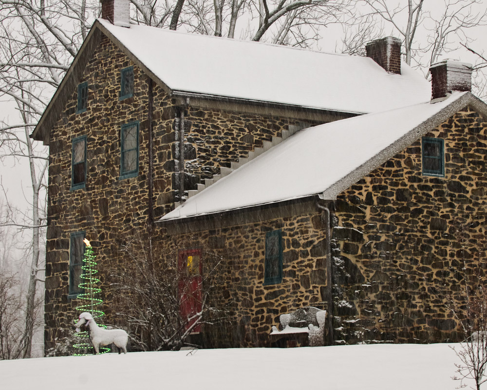 1-26-11 - Winter Snow<br><font size=3> ds20110126-0094w.jpg</font>
