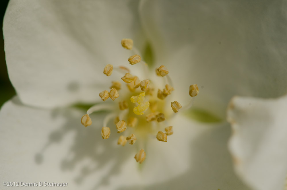 ds20120512-0149w.jpg