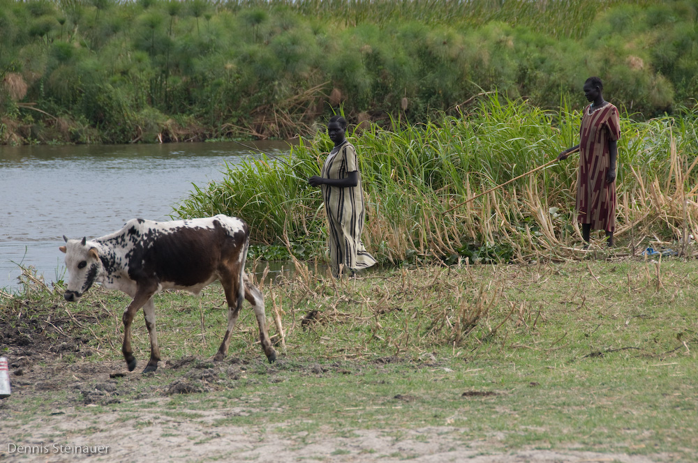 DS20080313_0172_NIKON_D300_w.jpg