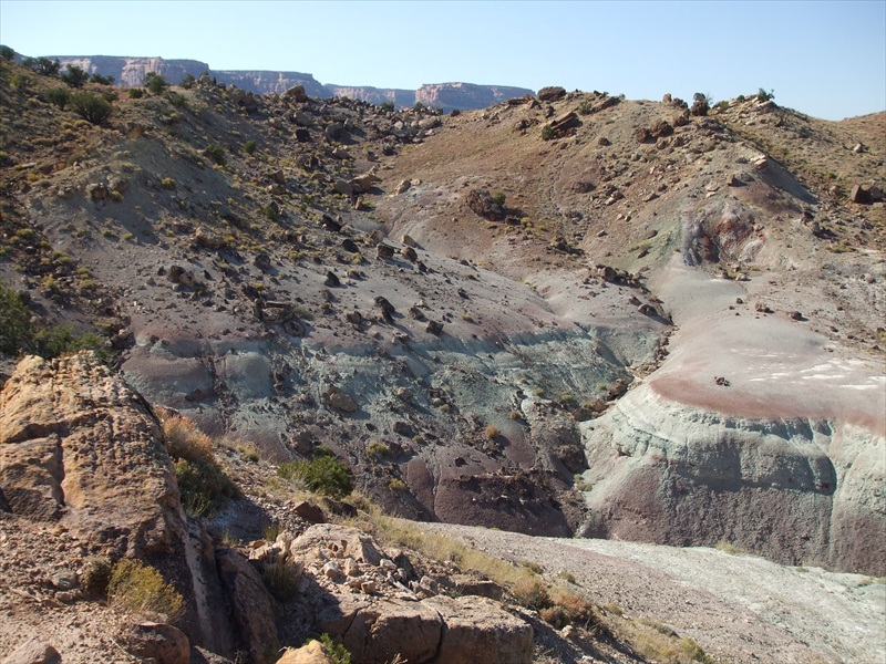 fruita_003.jpg