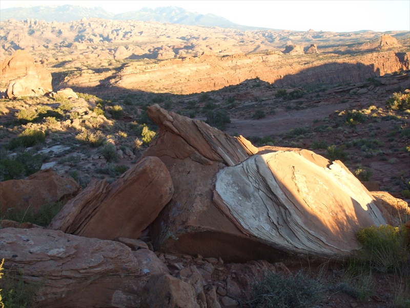 amasa_back_055.jpg