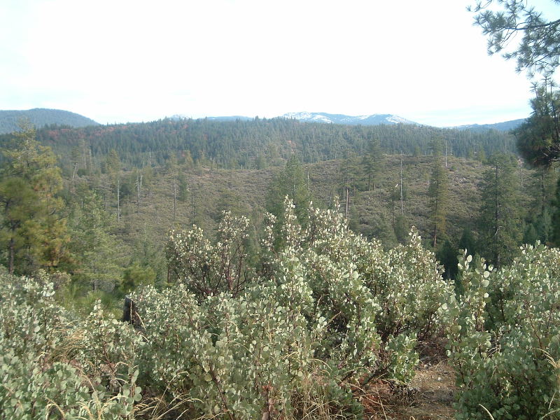 DSCF5172.JPG