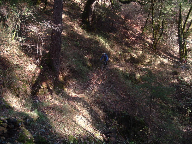 DSCF5203.JPG