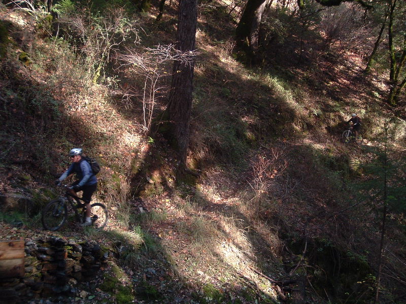 DSCF5204.JPG