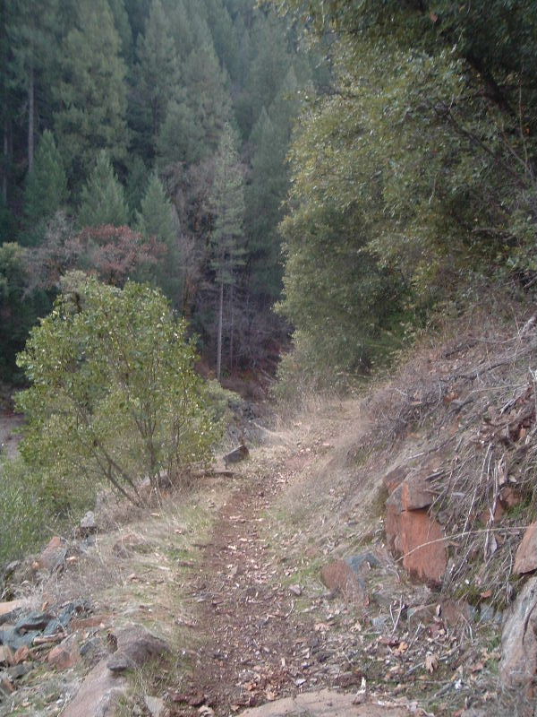 DSCF5211.JPG