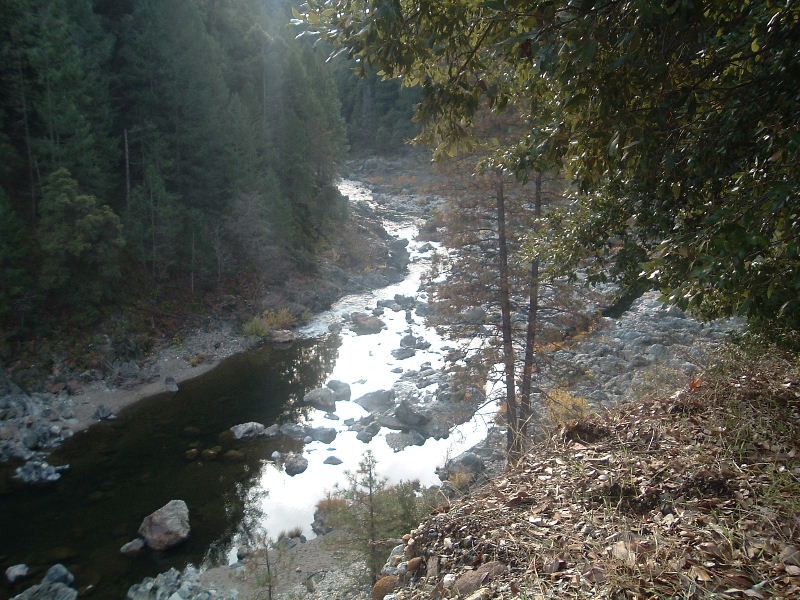 DSCF5224.JPG