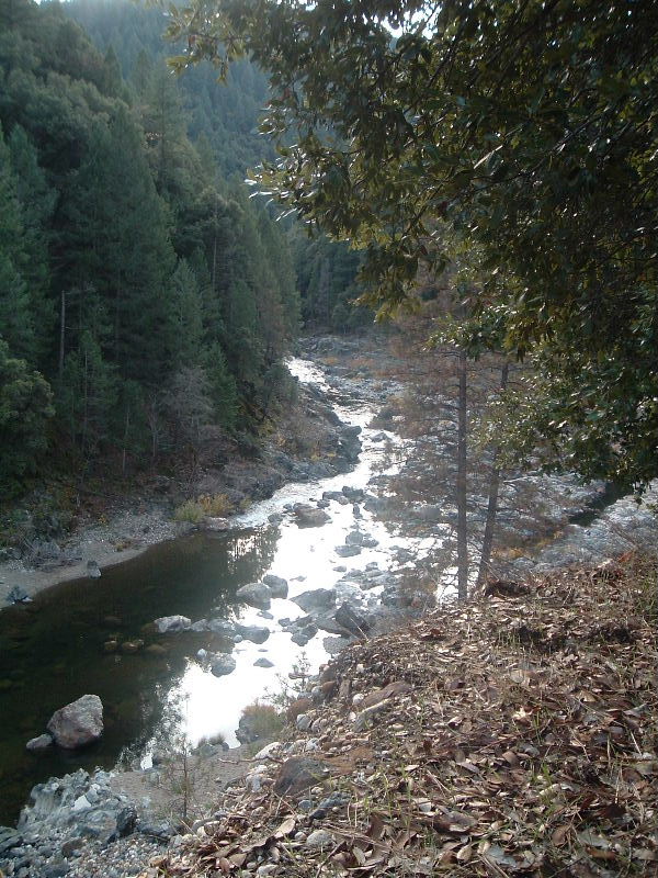 DSCF5226.JPG