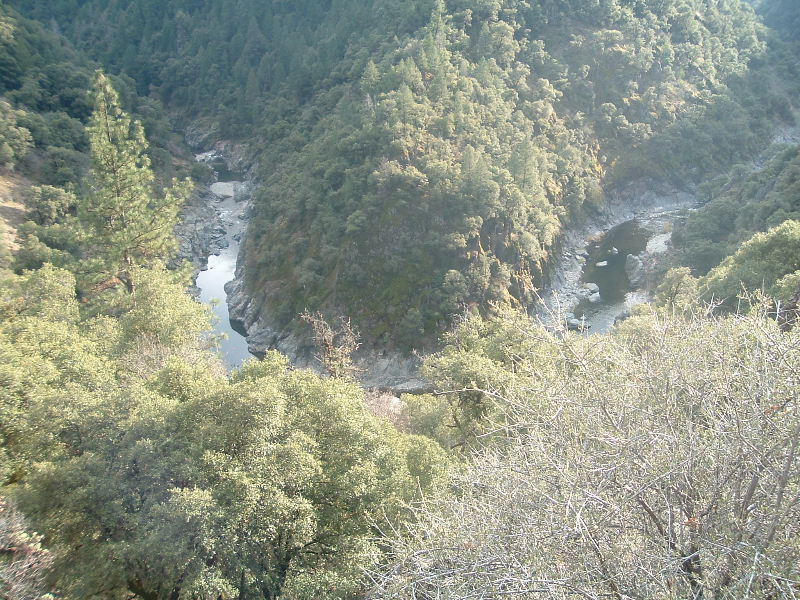 DSCF5230.JPG