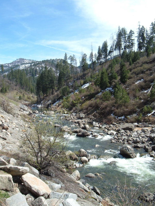 DSCF0331.JPG