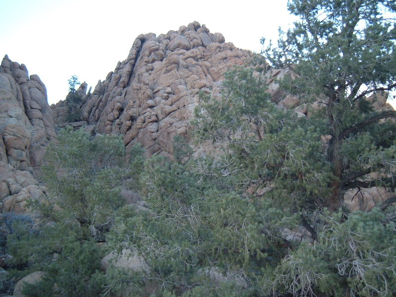 DSCF0357.JPG