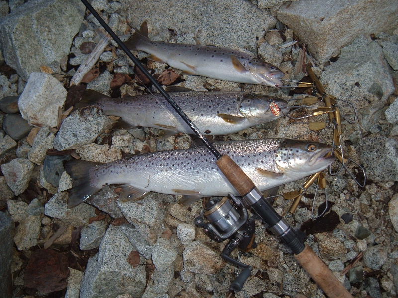 DSCF5799.JPG