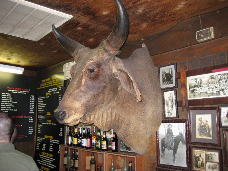 texanspics2007 001.jpg