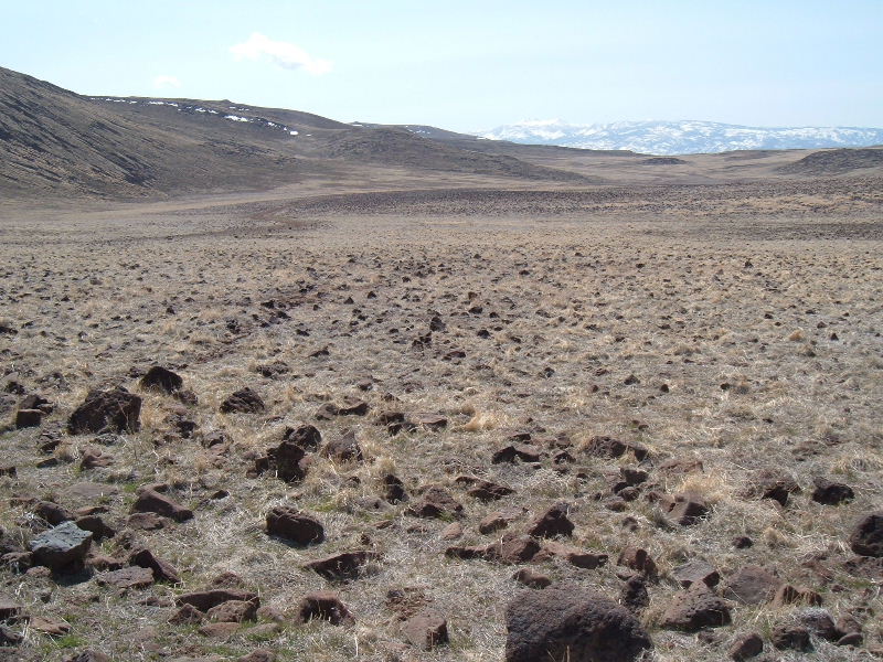 DSCF8293.JPG