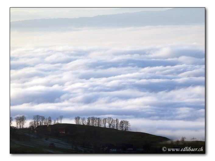 sea of fog / Nebelmeer