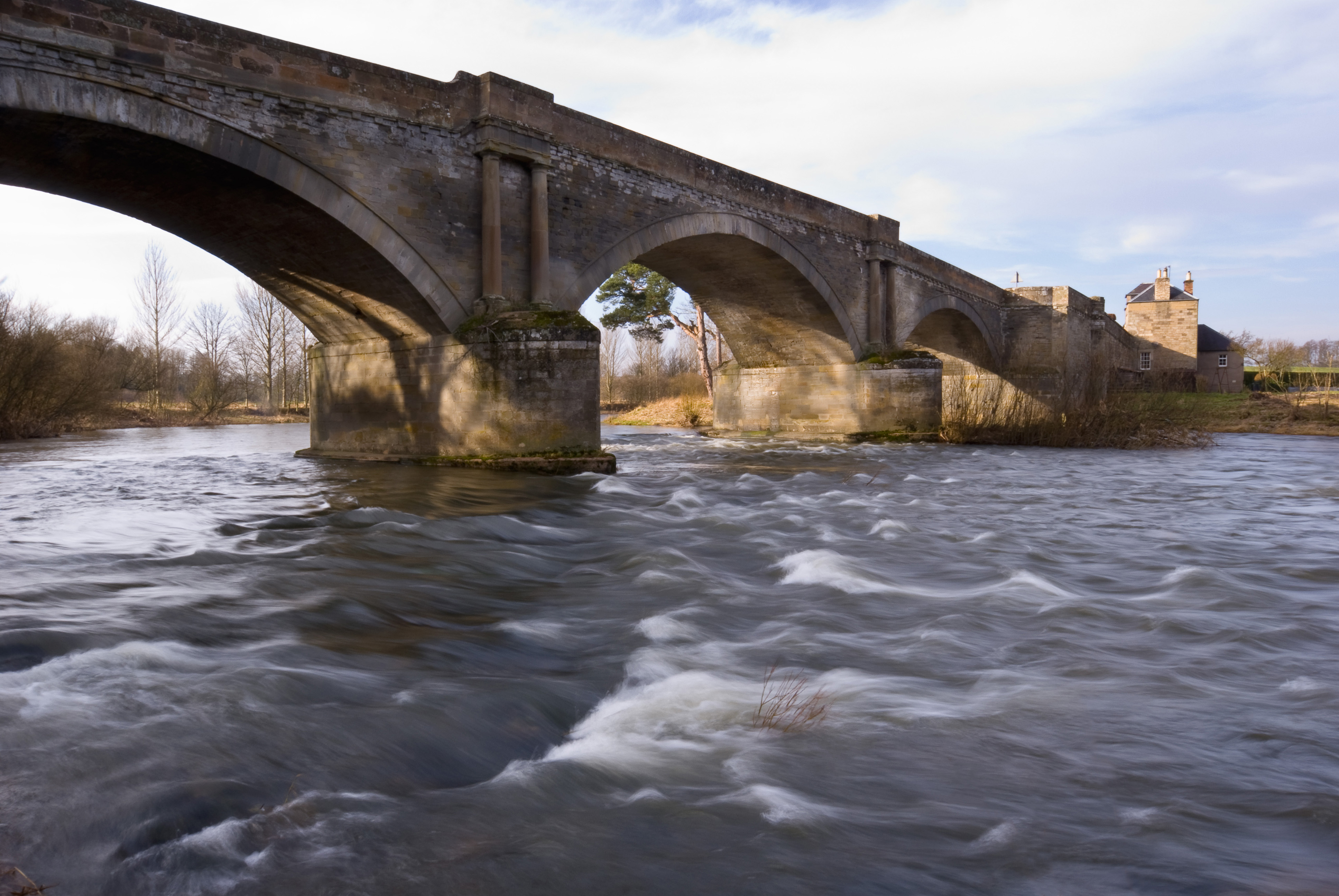teviotbridge1.jpg