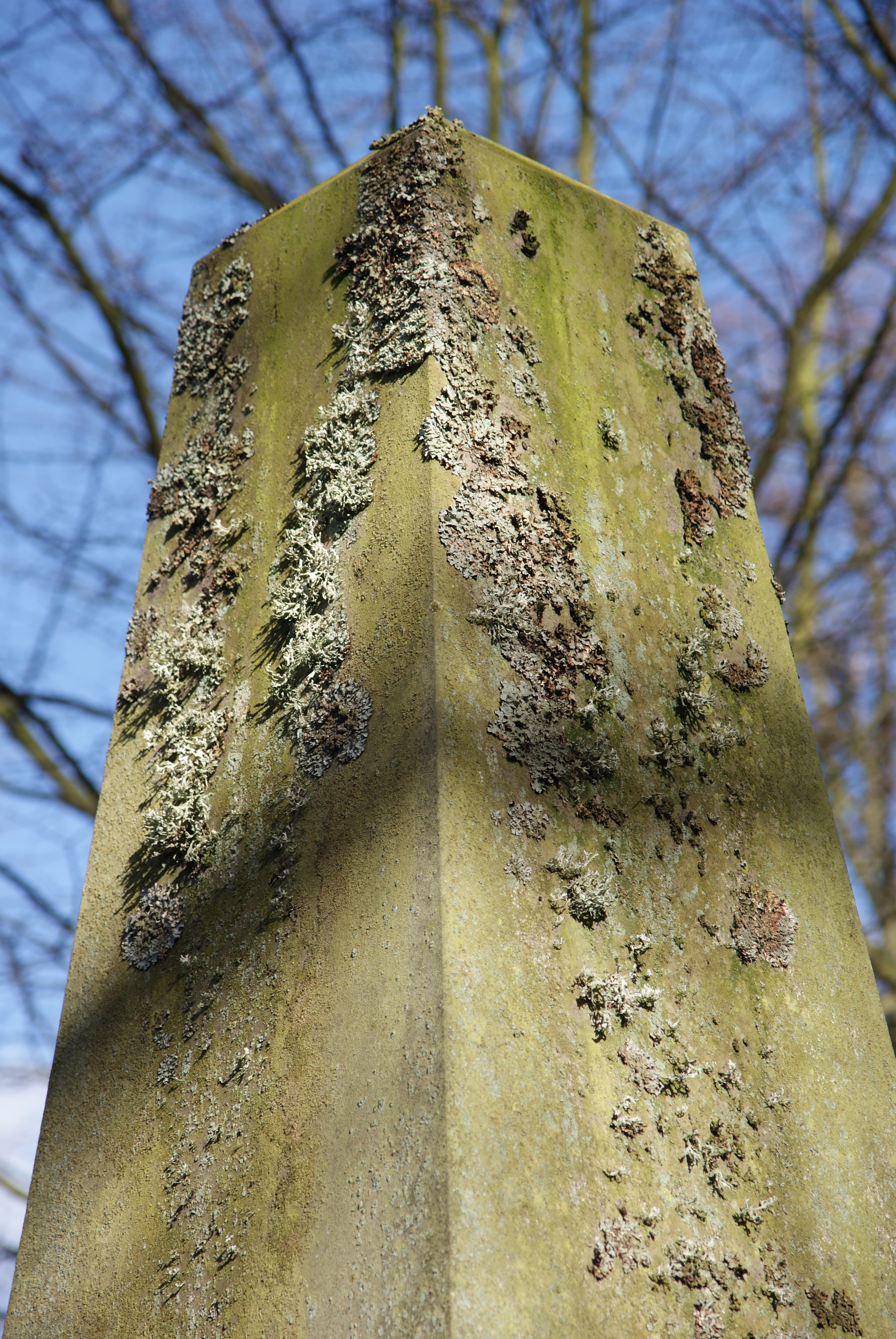 a200-80mm-5p6.jpg