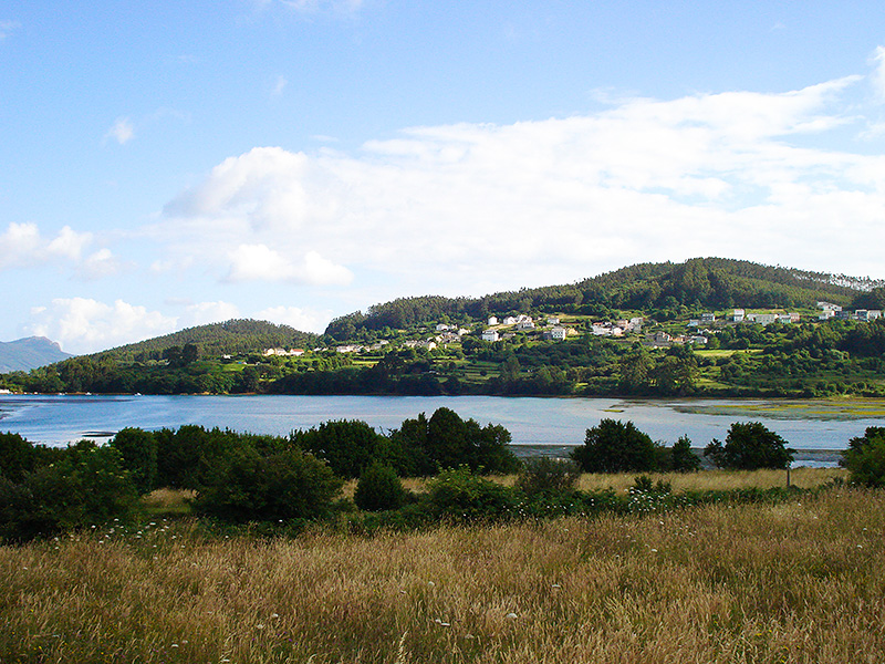 Green hills all the way into the ocean