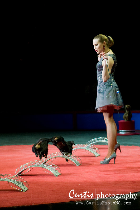 Ringling Bros Circus