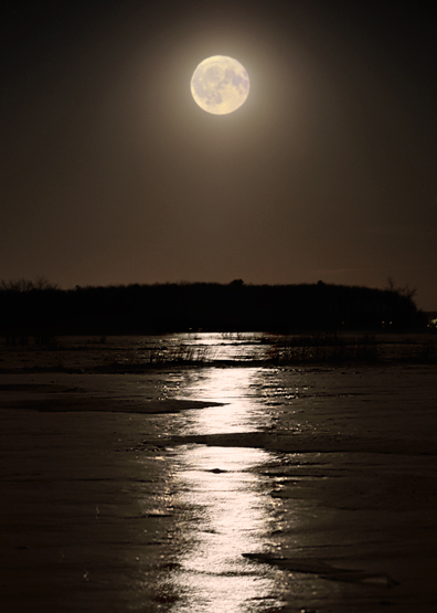 LUNE EN BULLE DU CRPUSCULE / MOON