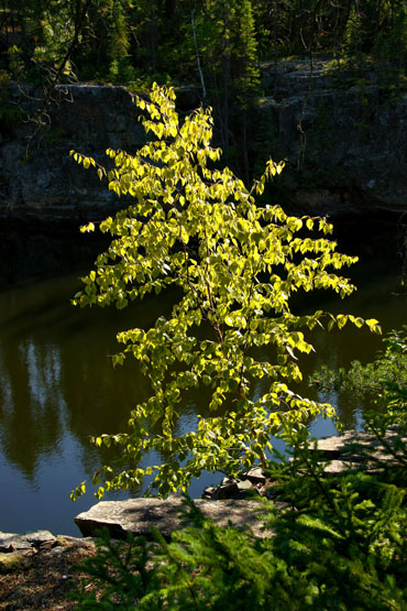 LAC BUIES / KKKO / ABITIBI
