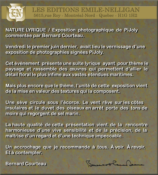 Expo 1995 PiJoly ( Pierre Joly ) vu par Bernard Courteau