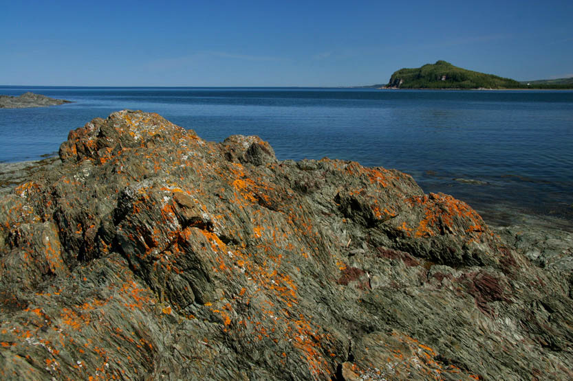 PARC DU BIC