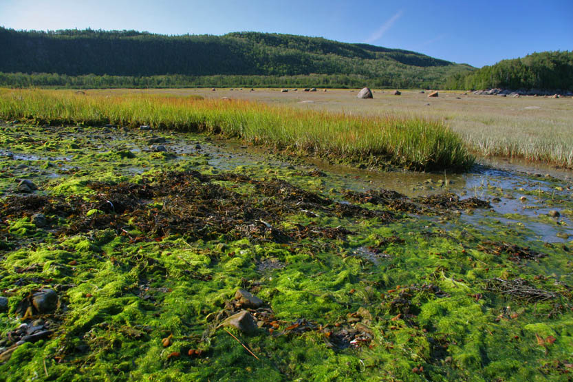 PARC DU BIC