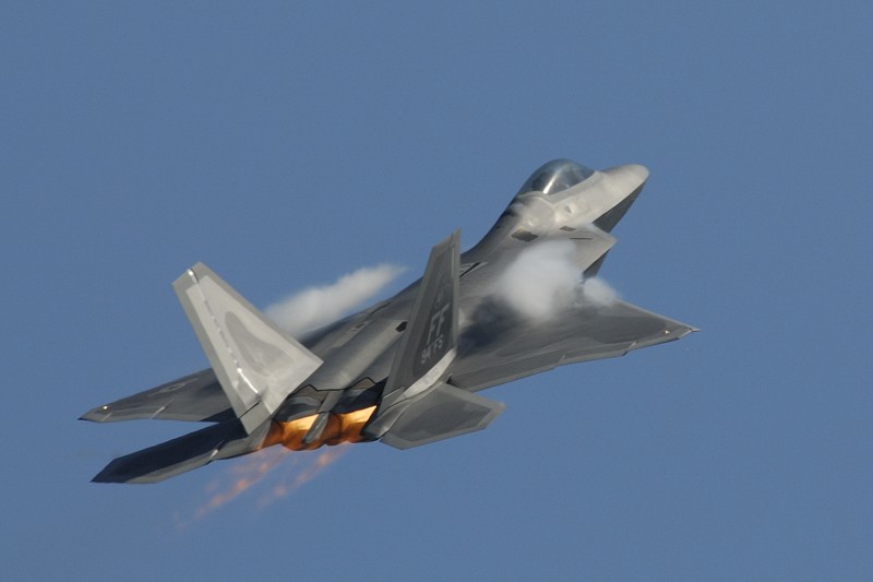 F22 Raptor D.jpg