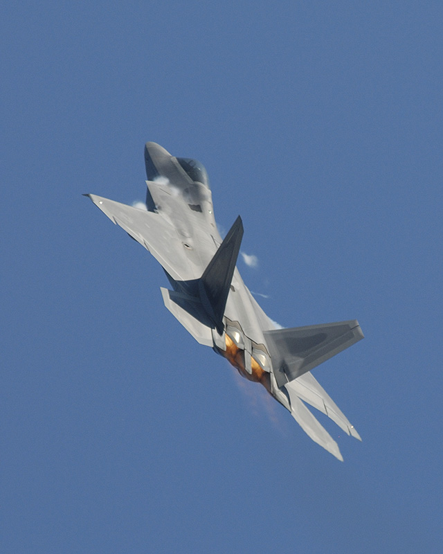 F22 Raptor M.jpg